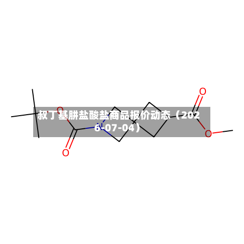 叔丁基肼盐酸盐商品报价动态（2026-07-04）-第1张图片