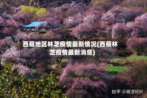 西藏地区林芝疫情最新情况(西藏林芝疫情最新消息)