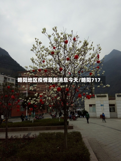 略阳地区疫情最新消息今天/略阳717