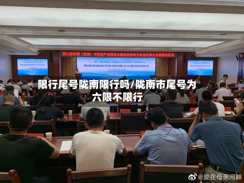 限行尾号陇南限行吗/陇南市尾号为六限不限行
