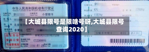 【大城县限号是限啥号呀,大城县限号查询2020】