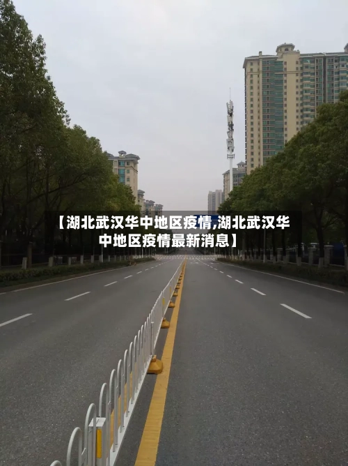 【湖北武汉华中地区疫情,湖北武汉华中地区疫情最新消息】