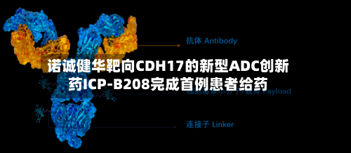 诺诚健华靶向CDH17的新型ADC创新药ICP-B208完成首例患者给药