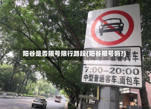 阳谷是否限号限行路段(阳谷限号吗?)