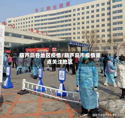 葫芦岛各地区疫情/葫芦岛市疫情重点关注地区