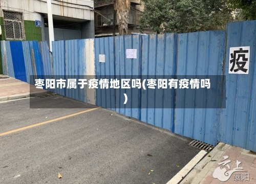 枣阳市属于疫情地区吗(枣阳有疫情吗)