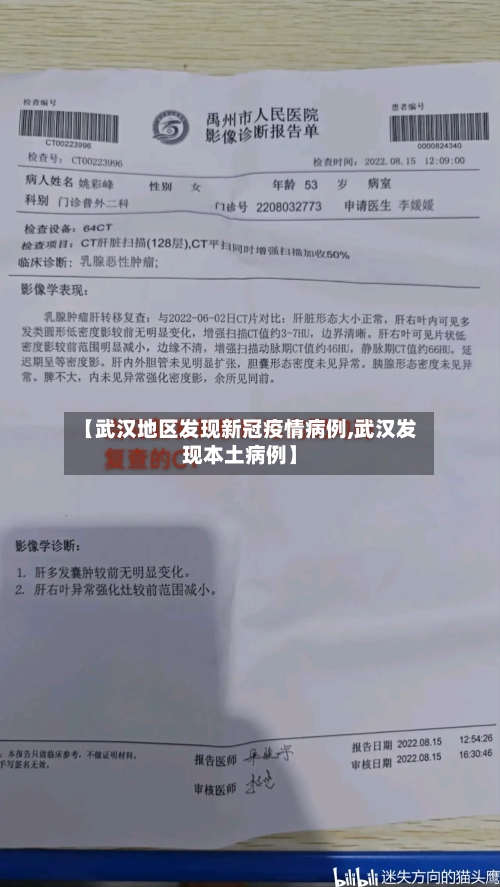 【武汉地区发现新冠疫情病例,武汉发现本土病例】