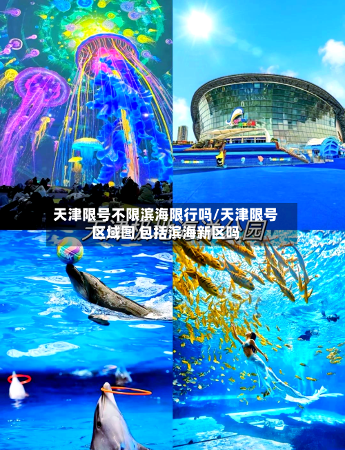 天津限号不限滨海限行吗/天津限号区域图 包括滨海新区吗
