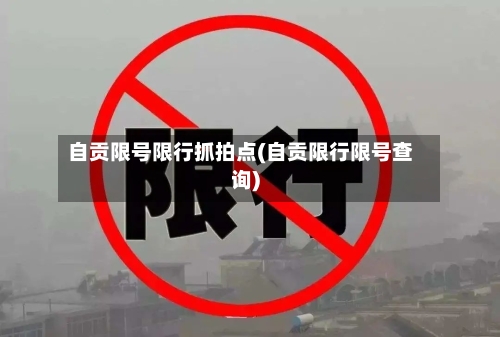 自贡限号限行抓拍点(自贡限行限号查询)