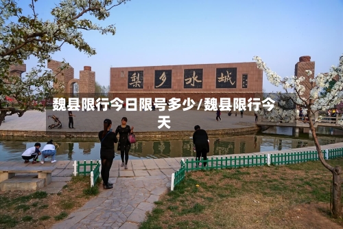 魏县限行今日限号多少/魏县限行今天
