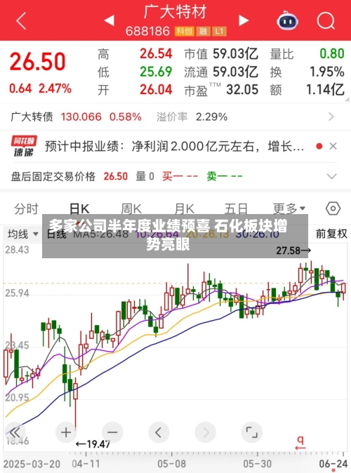 多家公司半年度业绩预喜 石化板块增势亮眼