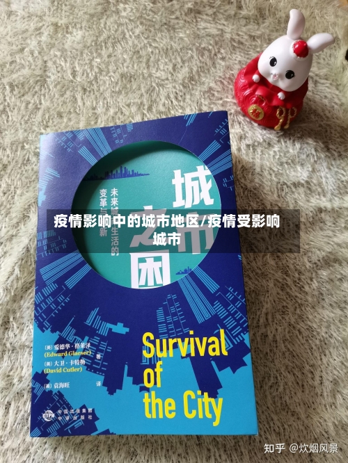 疫情影响中的城市地区/疫情受影响城市