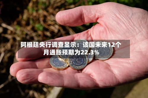 阿根廷央行调查显示：该国未来12个月通胀预期为22.3%