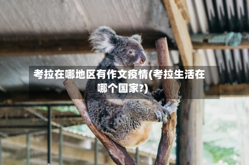 考拉在哪地区有作文疫情(考拉生活在哪个国家?)