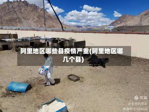 阿里地区哪些县疫情严重(阿里地区哪几个县)