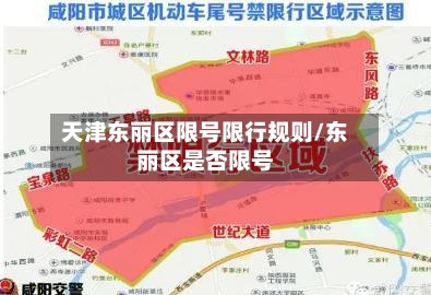 天津东丽区限号限行规则/东丽区是否限号