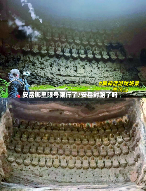 安岳哪里限号限行了/安岳封路了吗
