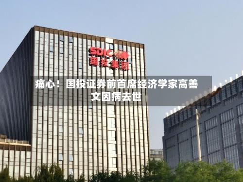 痛心！国投证券前首席经济学家高善文因病去世