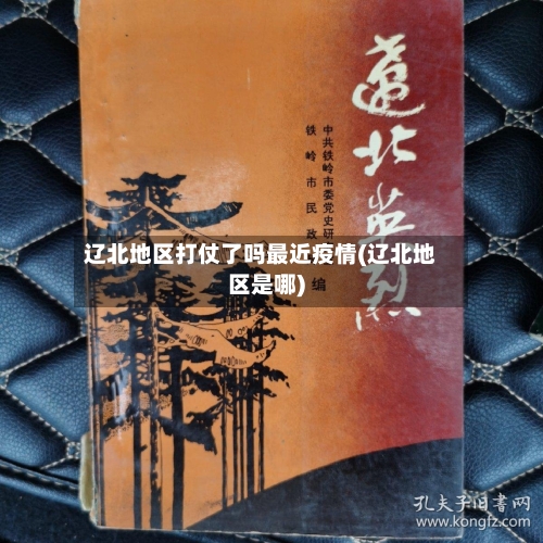 辽北地区打仗了吗最近疫情(辽北地区是哪)