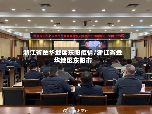 浙江省金华地区东阳疫情/浙江省金华地区东阳市