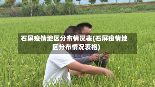 石屏疫情地区分布情况表(石屏疫情地区分布情况表格)