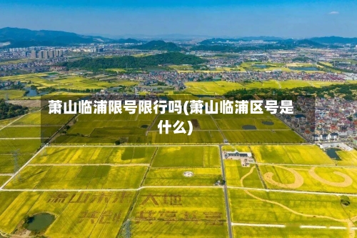 萧山临浦限号限行吗(萧山临浦区号是什么)