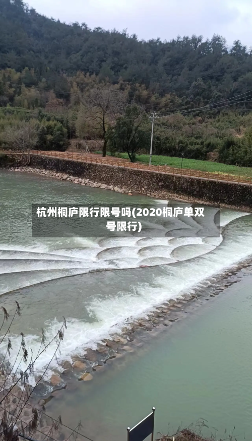 杭州桐庐限行限号吗(2020桐庐单双号限行)