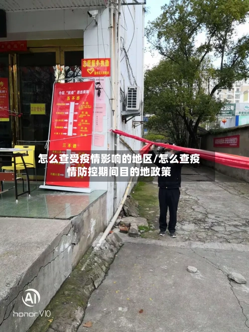 怎么查受疫情影响的地区/怎么查疫情防控期间目的地政策