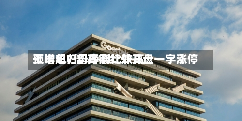 上半年归母净利比较高预增超7倍 高德红外开盘一字涨停
