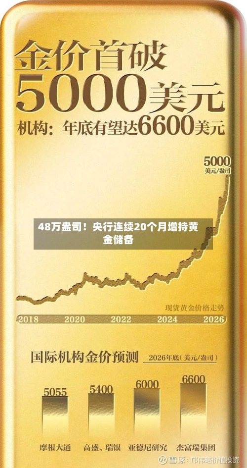 48万盎司！央行连续20个月增持黄金储备-第1张图片