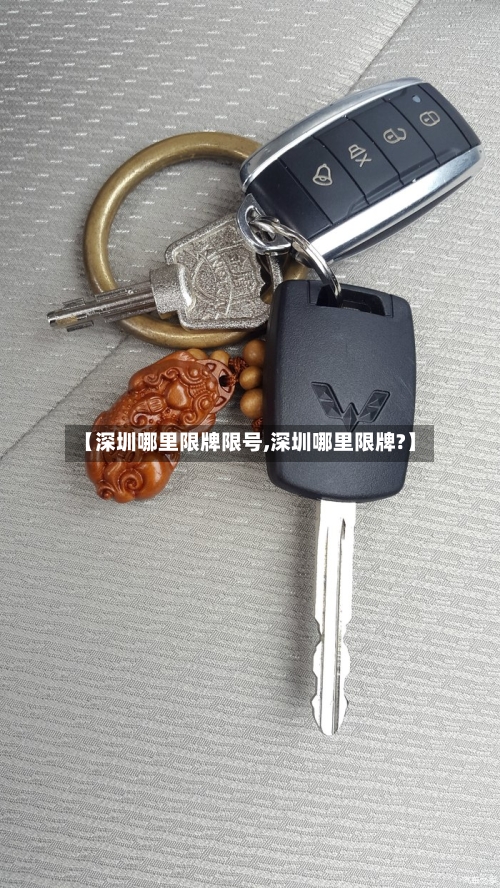 【深圳哪里限牌限号,深圳哪里限牌?】