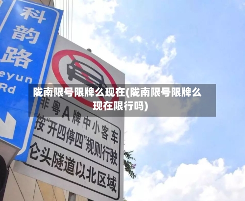 陇南限号限牌么现在(陇南限号限牌么现在限行吗)