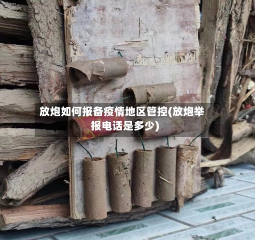 放炮如何报备疫情地区管控(放炮举报电话是多少)