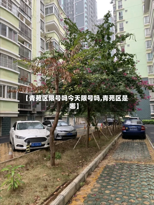 【青苑区限号吗今天限号吗,青苑区是哪】