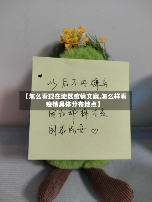 【怎么看现在地区疫情文案,怎么样看疫情具体分布地点】