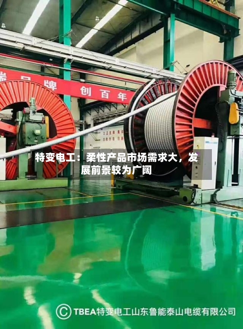 特变电工：柔性产品市场需求大，发展前景较为广阔