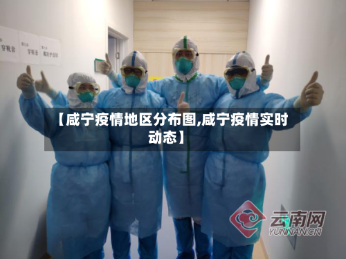 【咸宁疫情地区分布图,咸宁疫情实时动态】