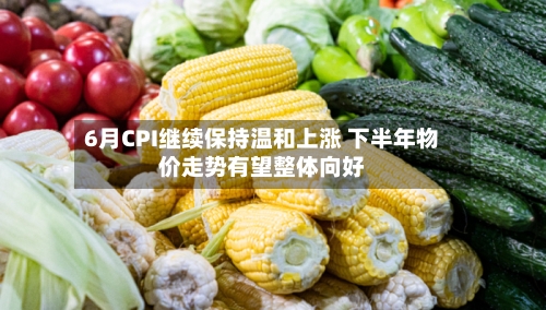 6月CPI继续保持温和上涨 下半年物价走势有望整体向好