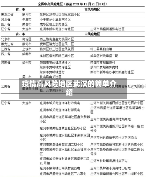 疫情高风险地区武汉的简单介绍