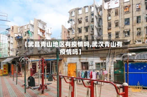 【武昌青山地区有疫情吗,武汉青山有疫情吗】
