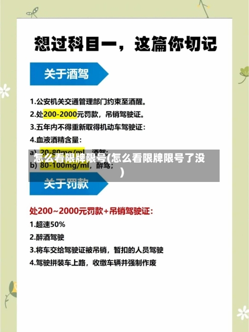 怎么看限牌限号(怎么看限牌限号了没)