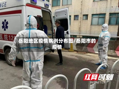 岳阳地区疫情病例分布图/岳阳市的疫情