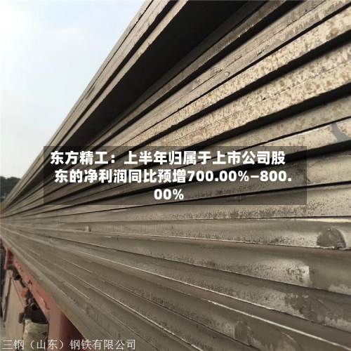 东方精工:上半年归属于上市公司股东的净利润同比预增700.00%—800.00%