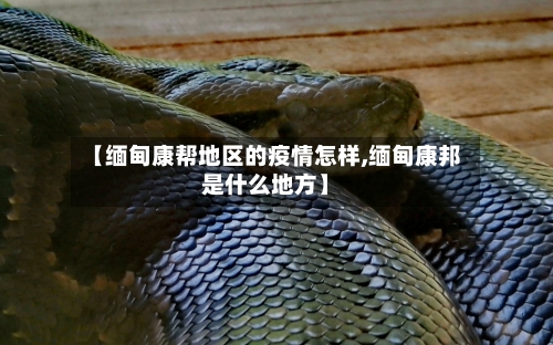 【缅甸康帮地区的疫情怎样,缅甸康邦是什么地方】