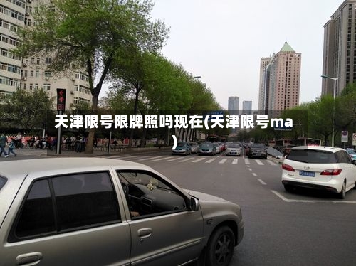 天津限号限牌照吗现在(天津限号ma)