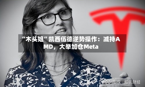 “木头姐”凯西伍德逆势操作：减持AMD，大举加仓Meta
