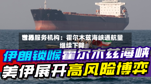 世界市场服务机构：霍尔木兹海峡通航量继续下降