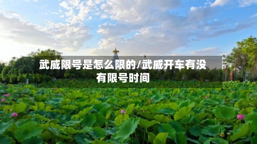 武威限号是怎么限的/武威开车有没有限号时间