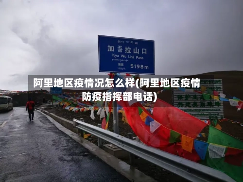 阿里地区疫情况怎么样(阿里地区疫情防疫指挥部电话)