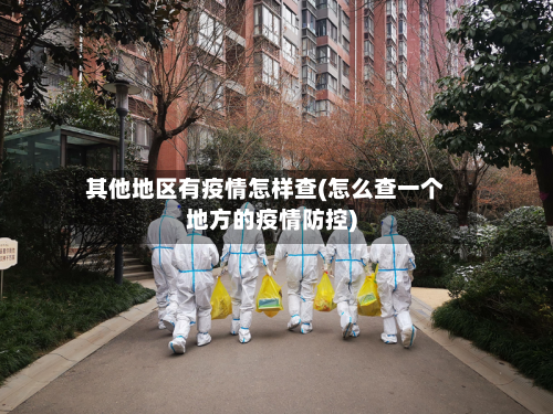 其他地区有疫情怎样查(怎么查一个地方的疫情防控)